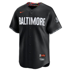 Adley Rutschman Baltimore Orioles City Connect Limited Player Jersey Black | Nike