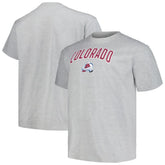 Colorado Avalanche Profile Big & Tall Arch Over Logo T-Shirt Heather Gray