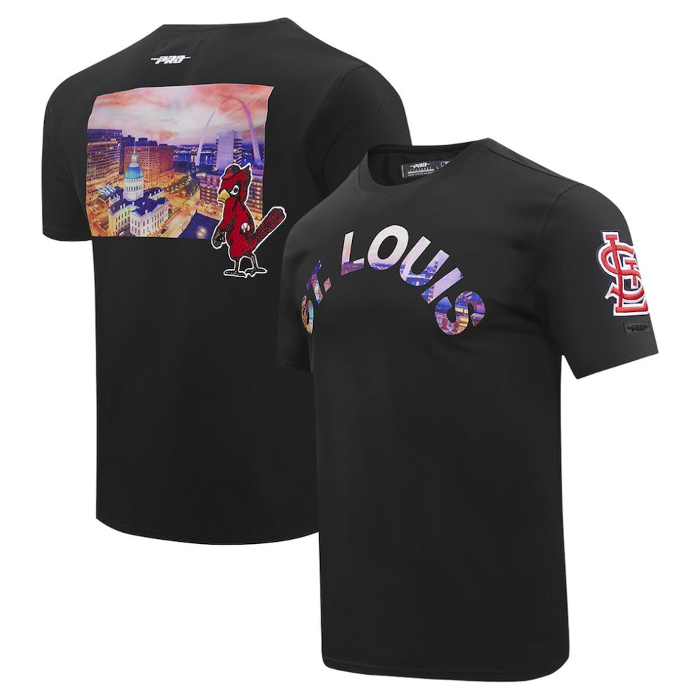 St. Louis Cardinals Pro Standard Cityscape T-Shirt Black