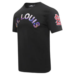 St. Louis Cardinals Pro Standard Cityscape T-Shirt Black