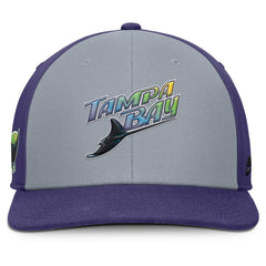 Tampa Bay Rays Pro Performance Snapback Hat Gray/Purple | Nike