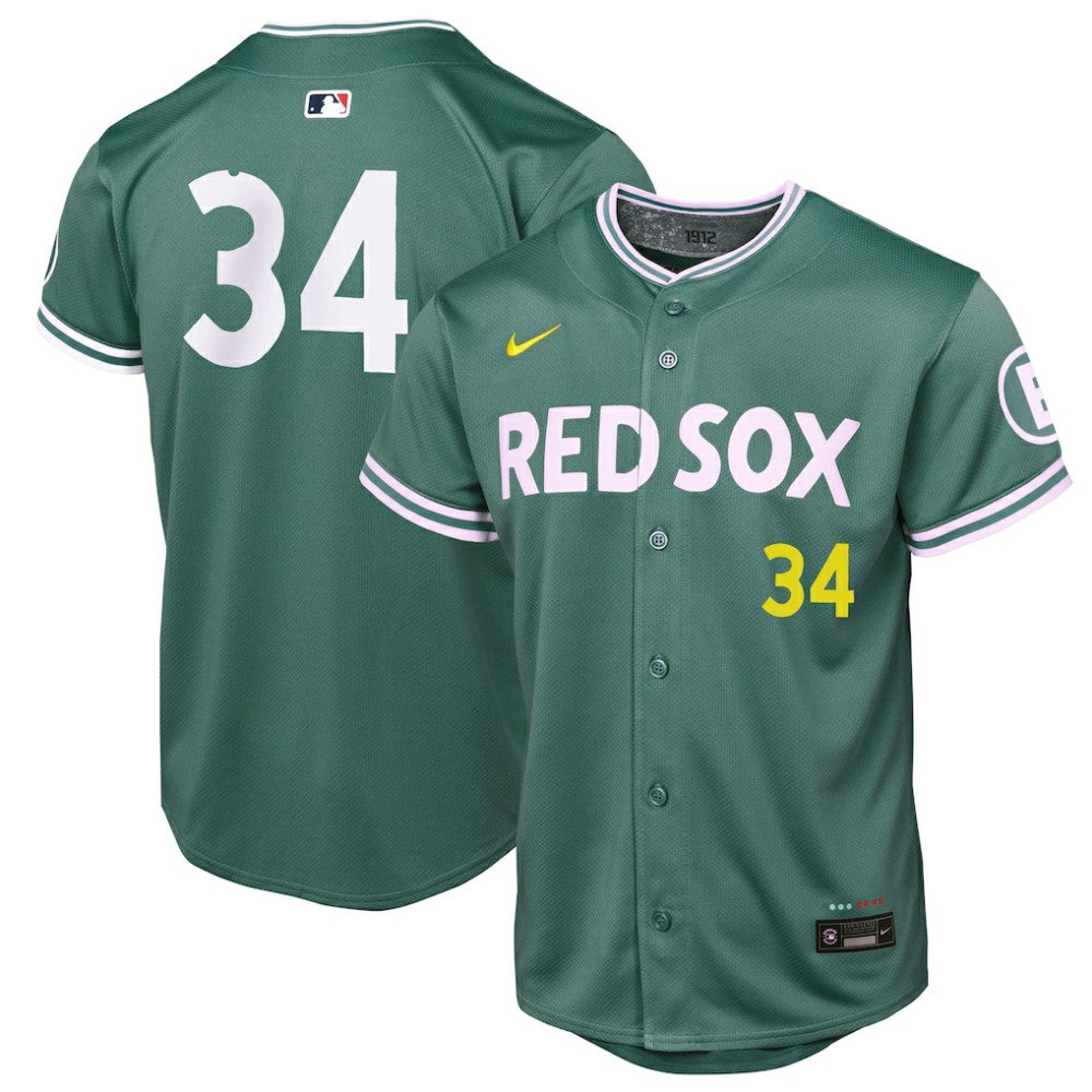 David Ortiz Boston Red Sox Youth 2025 City Connect Limited Retired Player Jersey Green | Nike