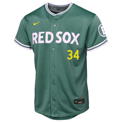 David Ortiz Boston Red Sox Youth 2025 City Connect Limited Retired Player Jersey - Green