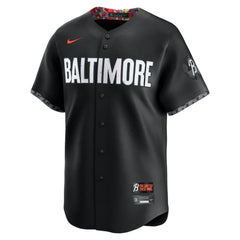 Adley Rutschman Baltimore Orioles City Connect Limited Jersey - Black