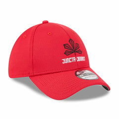 Cincinnati Reds City Connect Batting Practice 39THIRTY Flex Hat Red | New Era