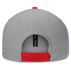 St. Louis Cardinals Punchout Snapback Hat Gray