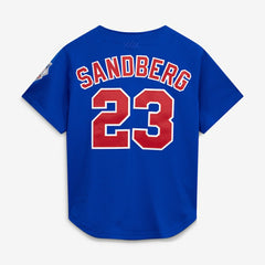 Ryne Sandberg Chicago Cubs Cooperstown Collection 1997 Mesh Batting Practice Button-Up Jersey - Royal