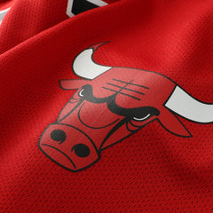 Dennis Rodman Chicago Bulls Big & Tall NBA Hockey Jersey - Red