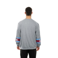 Philadelphia Phillies Sport Classics Sweatshirt Gray | New Era