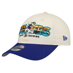 Texas Rangers Youth 2026 Spring Training Fan Pack Batter 9TWENTY Adjustable Hat Stone/Royal | New Era