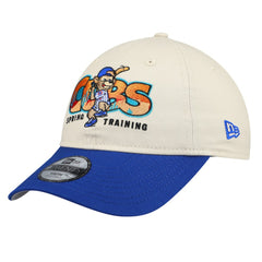 Chicago Cubs Youth 2026 Spring Training Fan Pack Batter 9TWENTY Adjustable Hat Stone/Royal | New Era