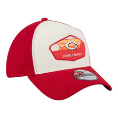 Cincinnati Reds 2026 Spring Training Fan Pack Gradient 39THIRTY Flex Hat Stone | New Era