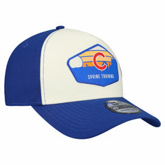 Chicago Cubs 2026 Spring Training Fan Pack Gradient 39THIRTY Flex Hat Stone/Royal | New Era