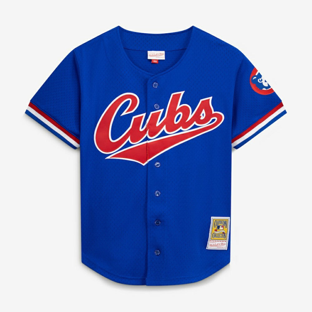 Ryne Sandberg Chicago Cubs Cooperstown Collection 1996 Mesh Batting Practice Button-Up Jersey Royal | Mitchell & Ness