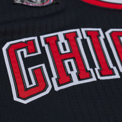 Derrick Rose Chicago Bulls 2010-11 Authentic Jersey sale - Black