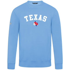 Texas Rangers Levelwear Zane Felt Arch Pullover Sweatshirt Light Blue