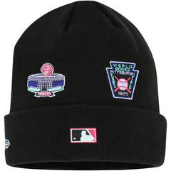 Pittsburgh Pirates Polar Lights Cuffed Knit Hat Black | New Era