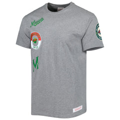 Minnesota Wild Mitchell & Ness City Collection T-Shirt Heather Gray