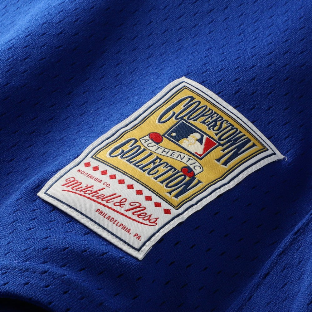 Joe Carter Toronto Blue Jays Authentic Batting Practice Jersey - Royal