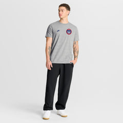 Chicago Cubs Cooperstown 2-Hit T-Shirt Heather Gray | Nike
