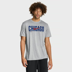 Chicago Cubs Swoosh Legend Dri-FIT T-Shirt Heather Gray | Nike