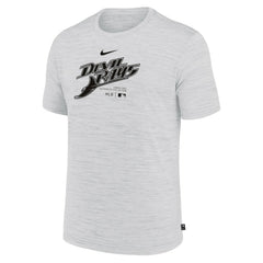 Tampa Bay Rays Authentic Collection Velocity Performance Practice T-Shirt Ash | Nike