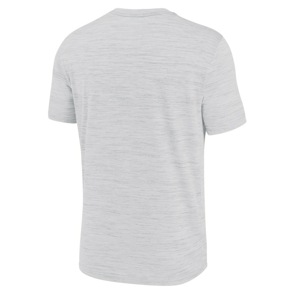 Tampa Bay Rays Authentic Collection Velocity Performance Practice T-Shirt Ash | Nike