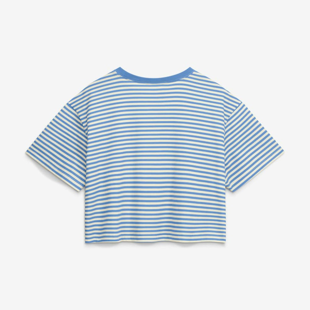 Philadelphia Phillies Women's Cooperstown Collection Striped Cropped T-Shirt Light Blue/Cream | Nike