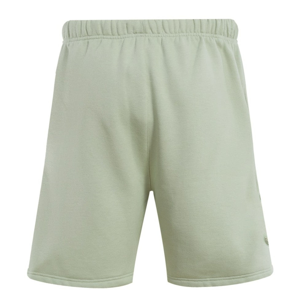 Boston Red Sox Pro Standard Neutral Fleece Shorts Light Green