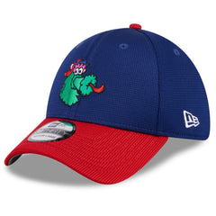 Philadelphia Phillies 2025 Batting Practice 39THIRTY Flex Hat Navy | New Era