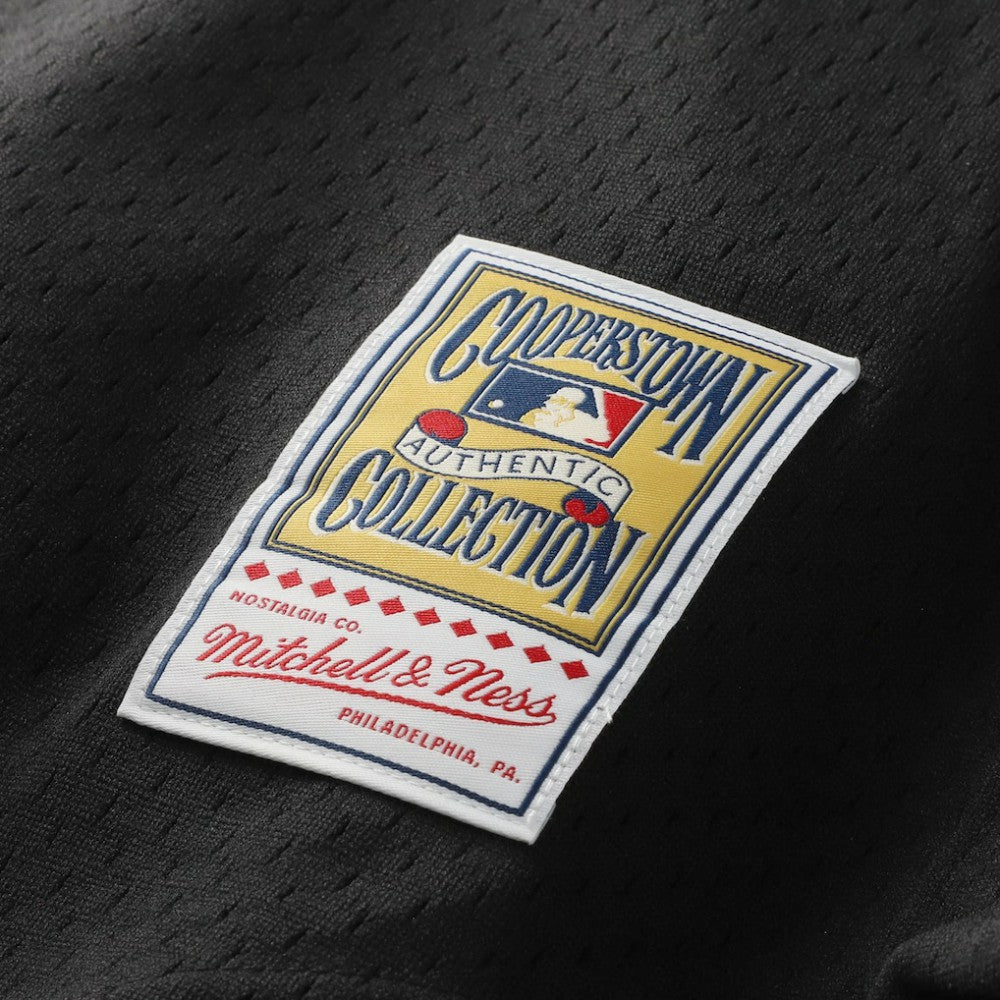 Craig Biggio Houston Astros Authentic Batting Practice Jersey Black | Mitchell & Ness