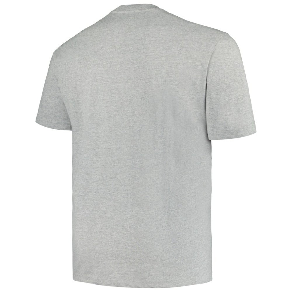 Minnesota Wild Profile Big & Tall Arch Over Logo T-Shirt Heather Gray