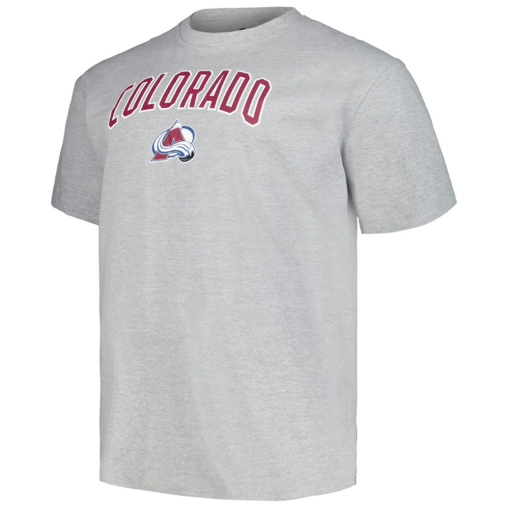 Colorado Avalanche Profile Big & Tall Arch Over Logo T-Shirt Heather Gray