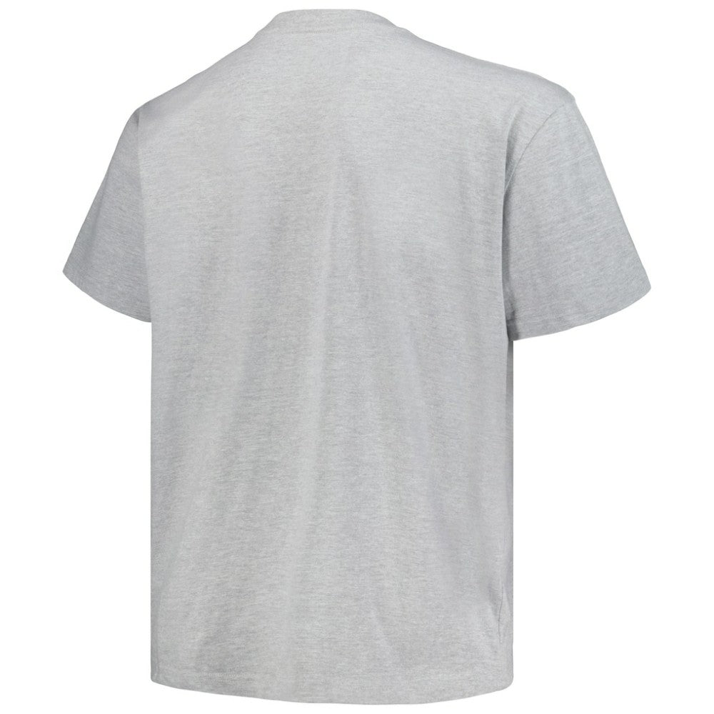 Colorado Avalanche Profile Big & Tall Arch Over Logo T-Shirt Heather Gray