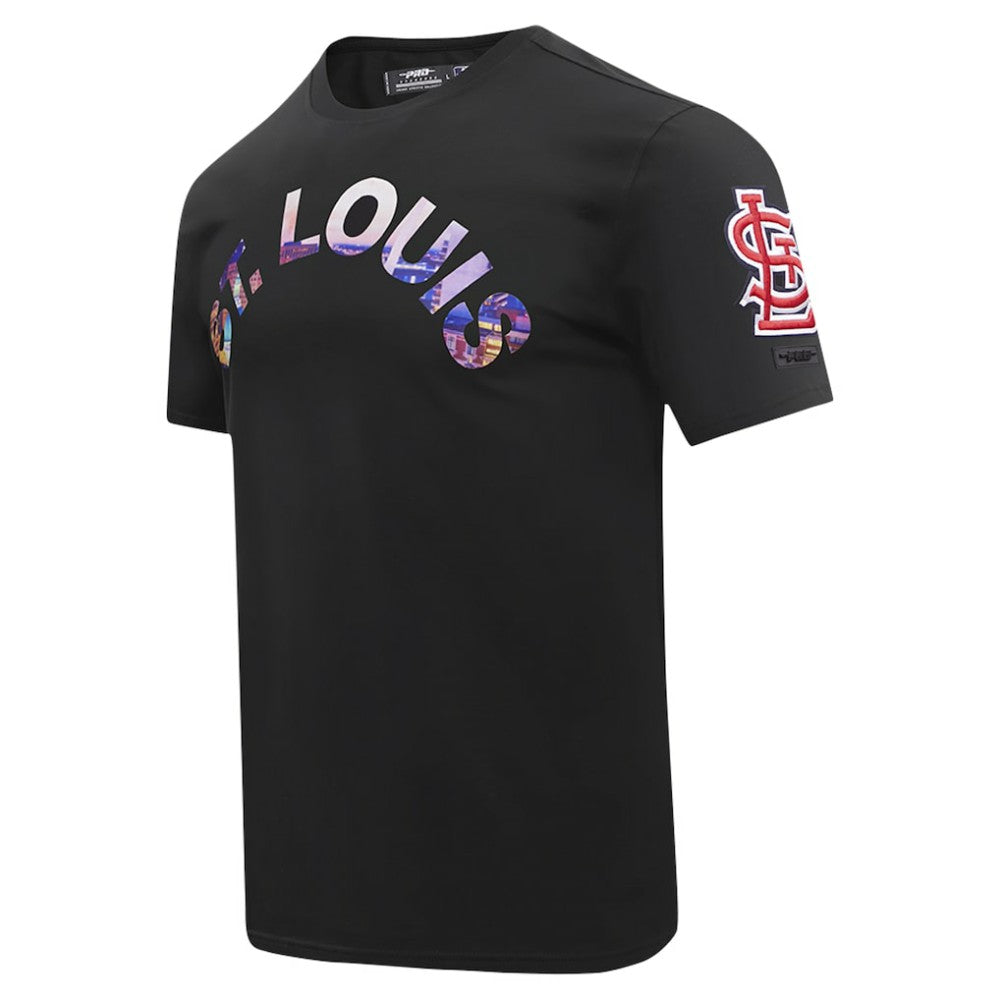 St. Louis Cardinals Pro Standard Cityscape T-Shirt Black