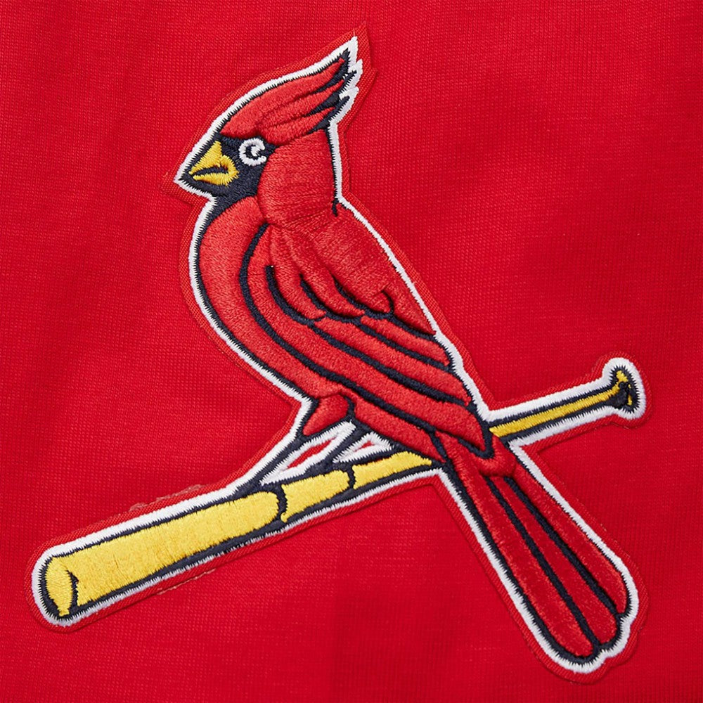 St. Louis Cardinals Pro Standard Oversized City Tour T-Shirt Red