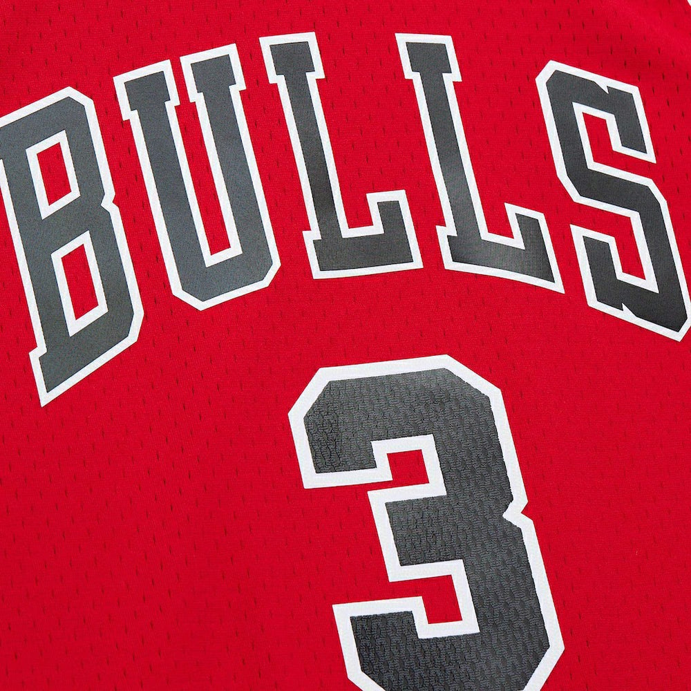 Dwyane Wade Chicago Bulls 2016/17 Hardwood Classics Swingman Jersey sale - Red