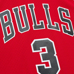 Dwyane Wade Chicago Bulls 2016/17 Hardwood Classics Swingman Jersey sale - Red