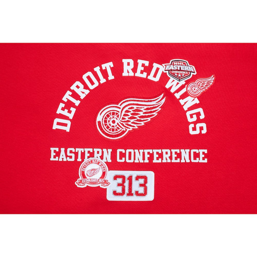 Detroit Red Wings Pro Standard Women's Area Code Cropped Pullover Sweatshirt Red