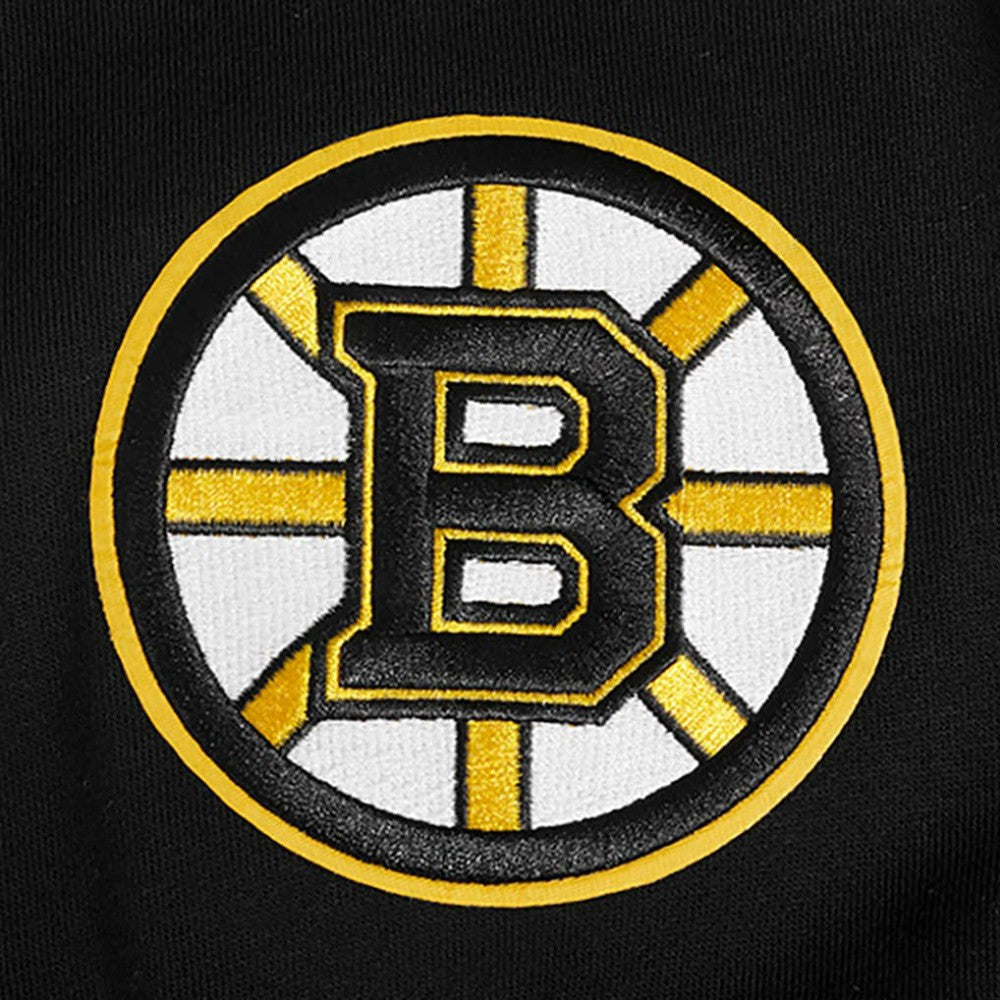 Boston Bruins Pro Standard Paint the City Pullover Hoodie Black