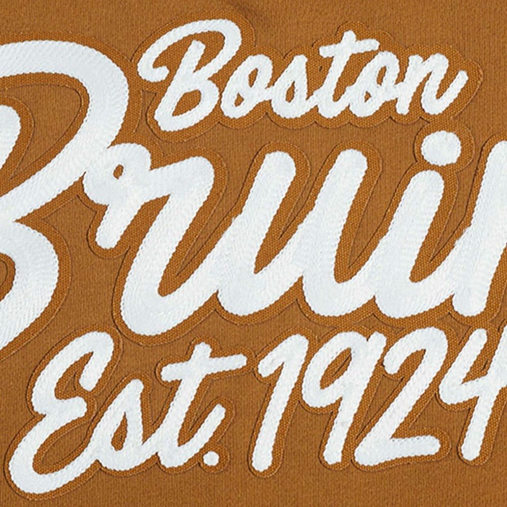 Boston Bruins Pro Standard Paint the City Pullover Sweatshirt Brown
