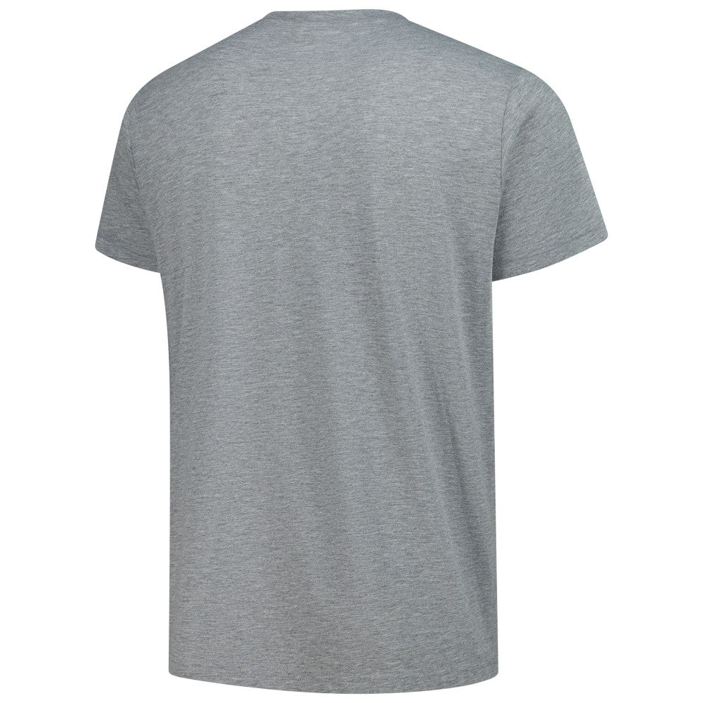 Cincinnati Reds Homage Grateful Dead Tri-Blend T-Shirt Gray