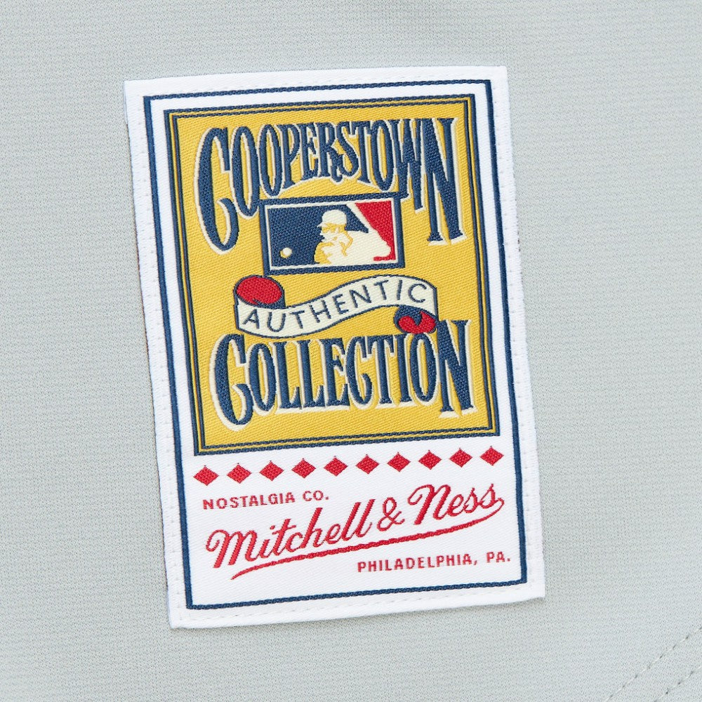 Ivan RodriguezTexas Rangers 1994 Cooperstown Collection Authentic Dark Jersey Gray | Mitchell & Ness