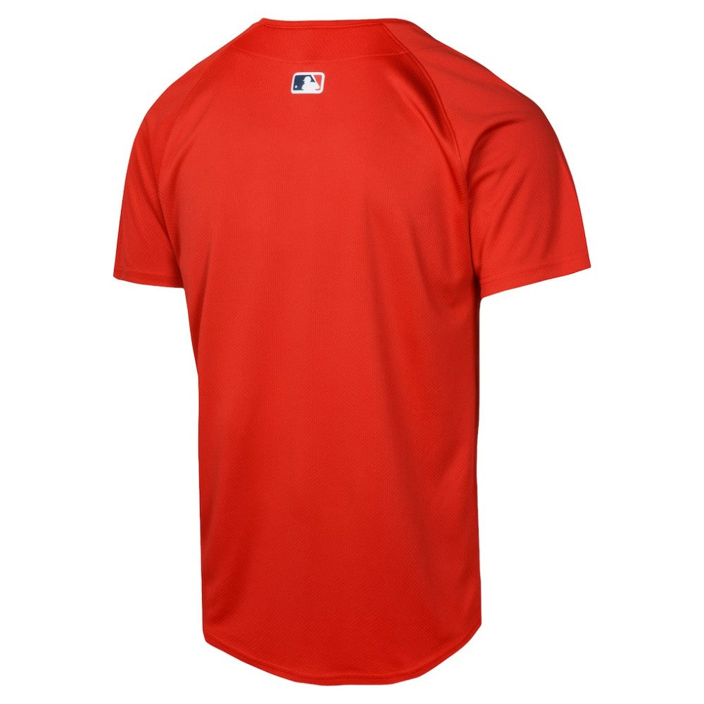 Boston Red Sox Youth Alternate Limited Jersey Red | Nike