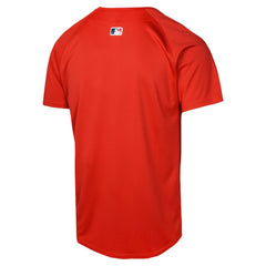 Boston Red Sox Youth Alternate Limited Jersey Red | Nike