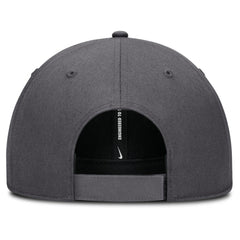 Houston Astros Club Performance Adjustable Hat Gray | Nike