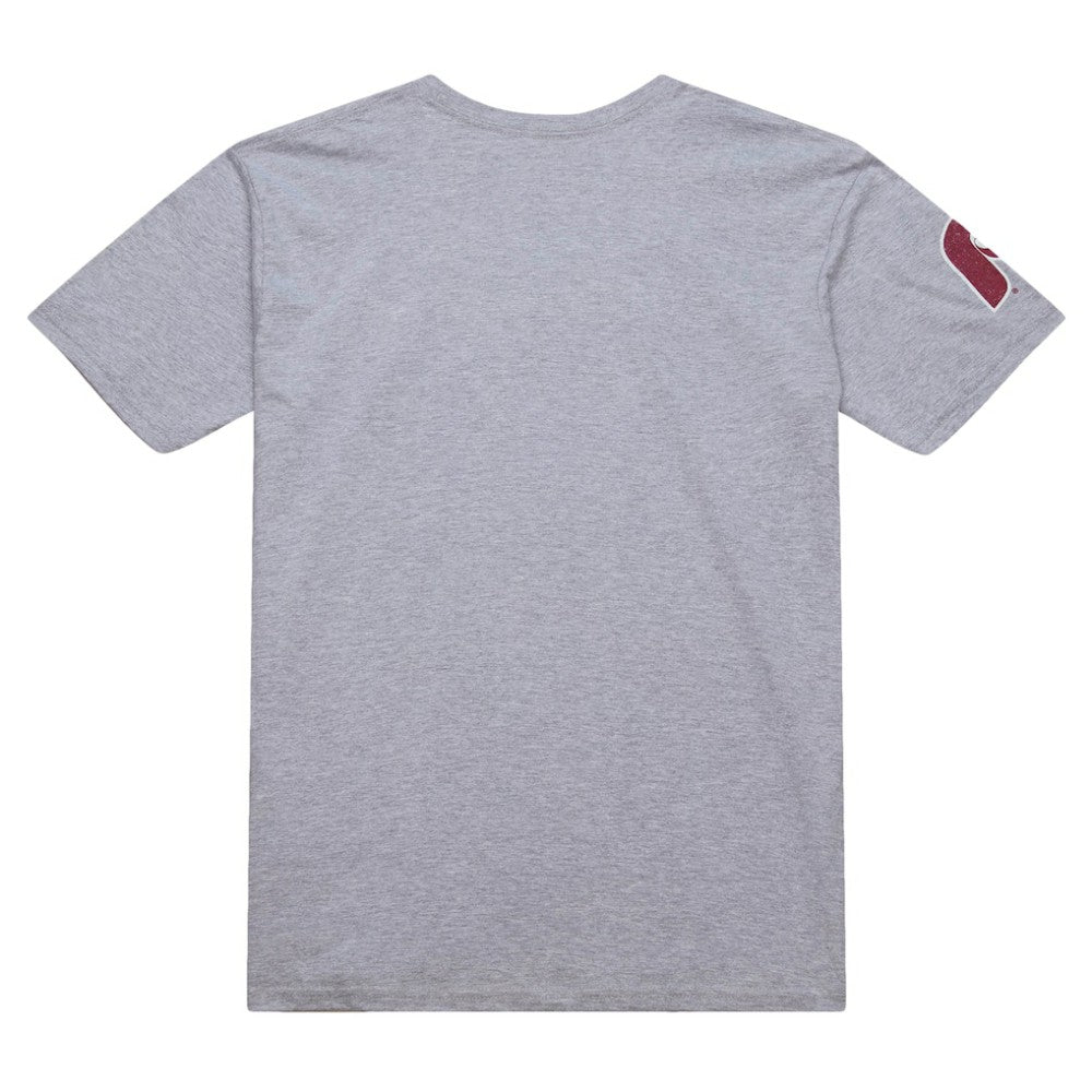 Darren Daulton Philadelphia Phillies Cooperstown Collection Player T-Shirt Heather Gray | Mitchell & Ness