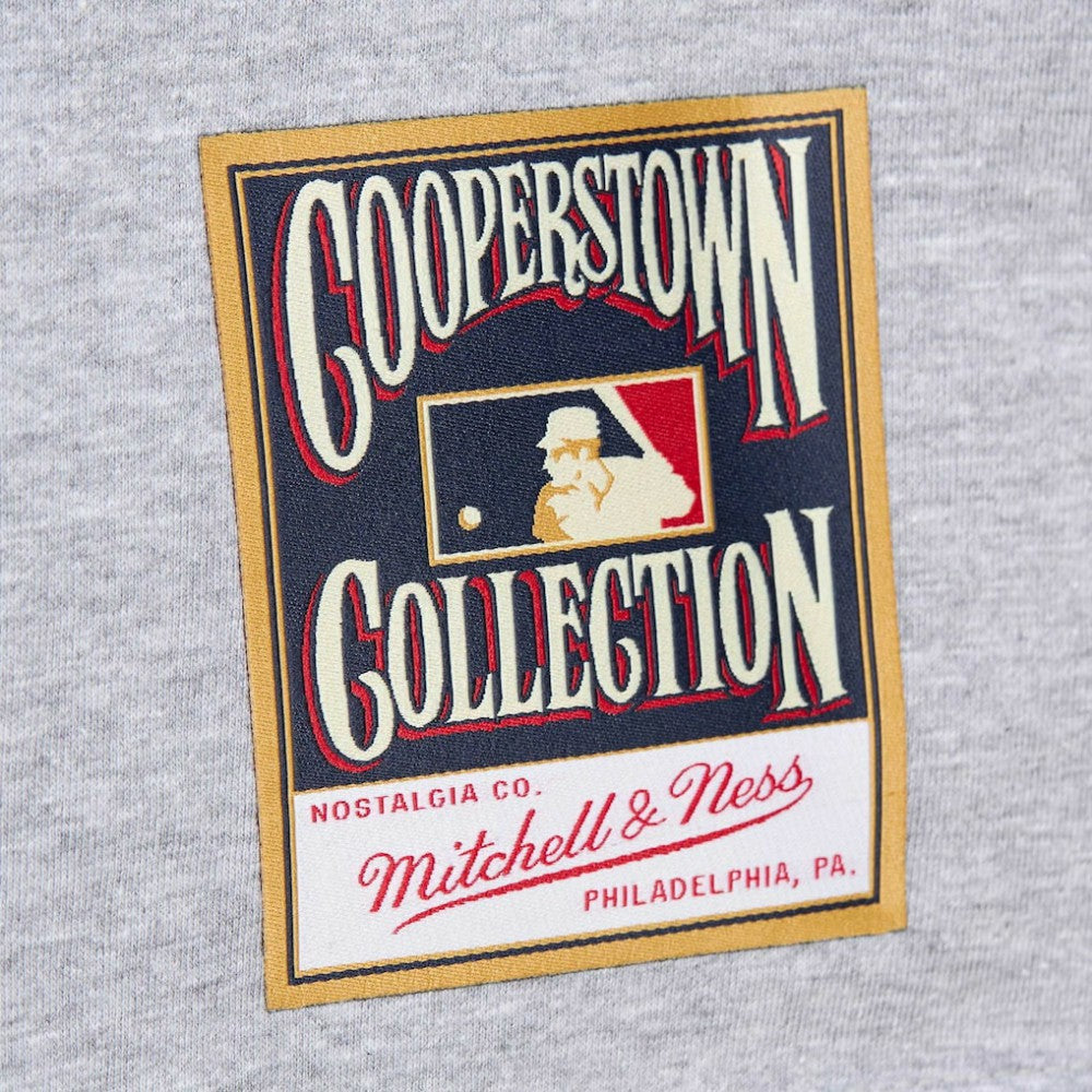 Darren Daulton Philadelphia Phillies Cooperstown Collection Player T-Shirt Heather Gray | Mitchell & Ness