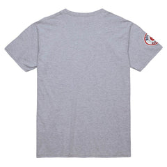 David Ortiz Boston Red Sox Cooperstown Collection Player T-Shirt Grey Heather | Mitchell & Ness