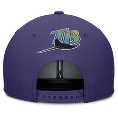 Tampa Bay Rays Pro Performance Snapback Hat Gray/Purple | Nike